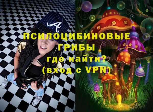 меф Арсеньев