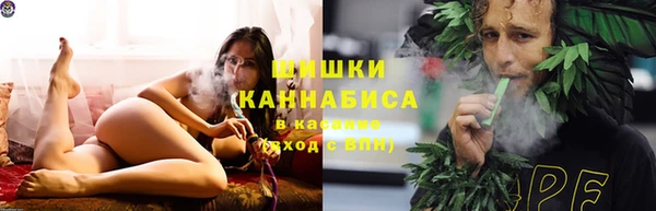 шишки Армянск