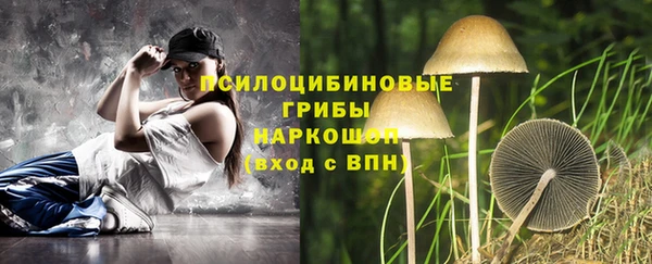 меф Арсеньев