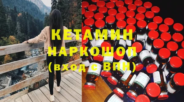 шишки Армянск
