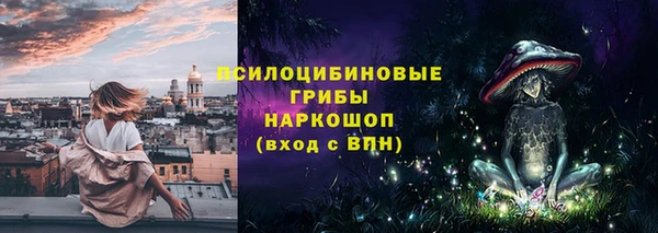 шишки Армянск