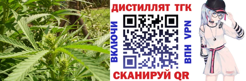 ТГК Wax  Тарко-Сале 